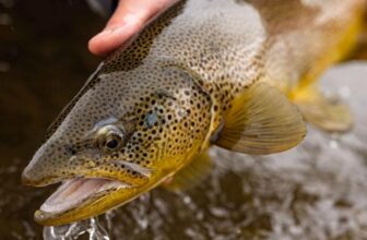 Hatch Magazine’s Top 10 Stories of 2025