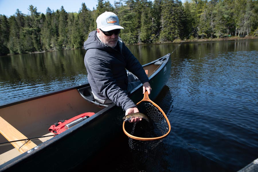 Why Fly-Fishing-Only and Special Regulations Matter for Native Fish