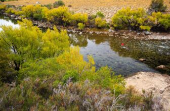 Fall fly fishing in Patagonia | Hatch Magazine