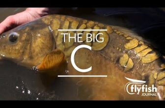 The Fiberglass Manifesto: THE FLYFISH JOURNAL