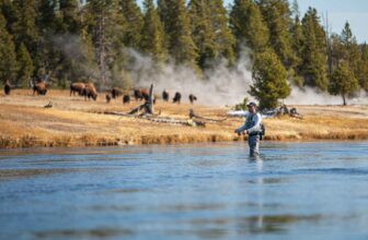 Yellowstone, Wyoming and other western states announce big changes for the 2026 fishing season | Hatch Magazine