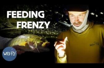 The Fiberglass Manifesto: WILD FLY