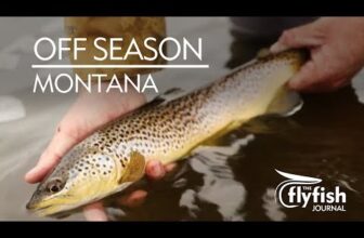 The Fiberglass Manifesto: THE FLYFISH JOURNAL