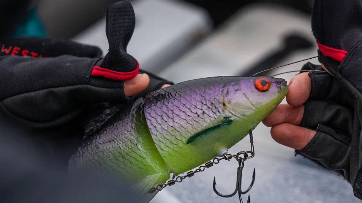 Westin Ricky the Roach inline lure