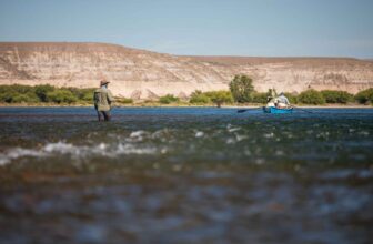 Imagination is more important than knowledge | Hatch Magazine