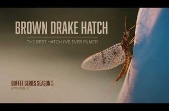 BUFFET SERIES – The Best Hatch in Fly Fishing?