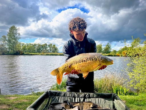 Gregor - Carp