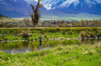 Essential spring creek skills | Hatch Magazine