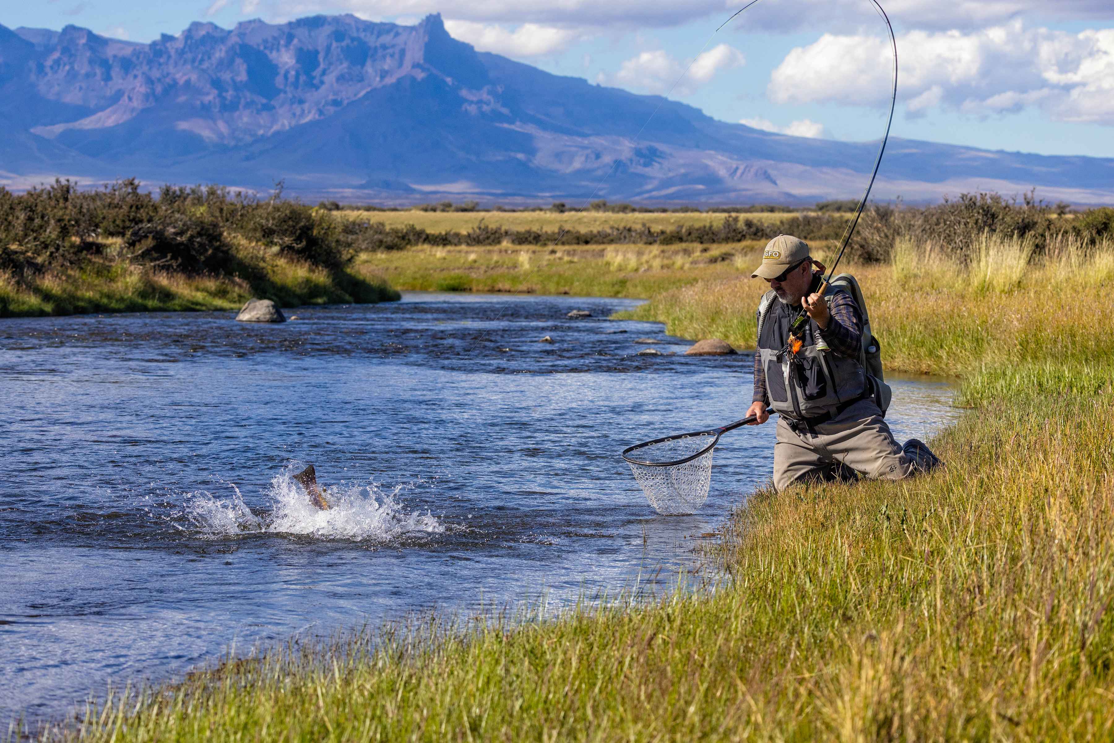 fly fishing spring creek sierra with baguales in the background