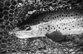 Fishing the Hair Spider fly | Hatch Magazine