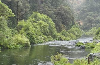 Mark Erickson’s Rodmaker 24/7 Glass Spey Review