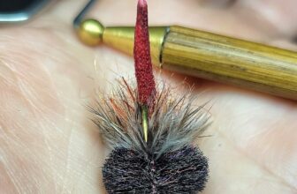 The Fiberglass Manifesto: PANTHER BRANCH BUGS