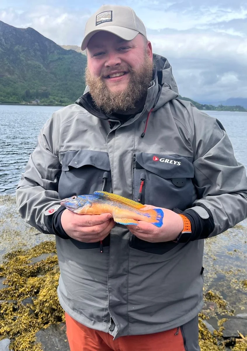 Kirn Darroch - Cuckoo Wrasse