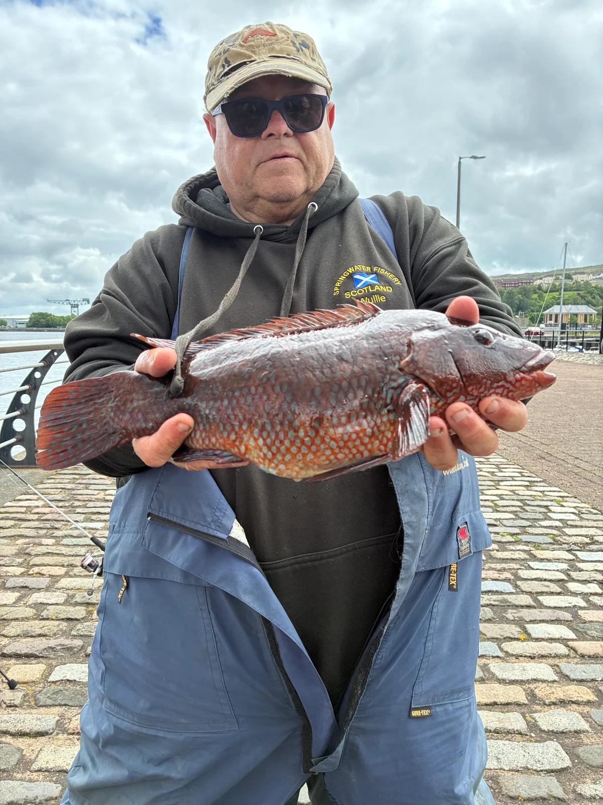 William Scott - Ballan Wrasse