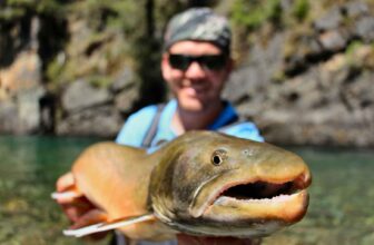 Should we be targeting bull trout anywhere? | Hatch Magazine
