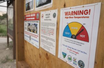 The trout angler’s guide to fishing through drought | Hatch Magazine