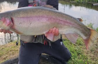 The Catch Report – Scotland’s Fish of the Week