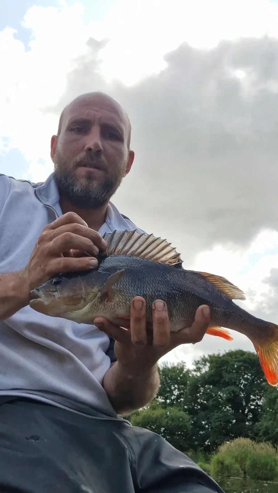 Kelvin Bain with a Perch over 2lb caught on lobworms on an ultralight dropshot rod in SW Scotland