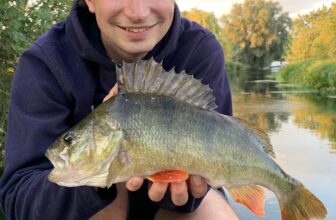 The Catch Report – Scotland’s Fish of the Week