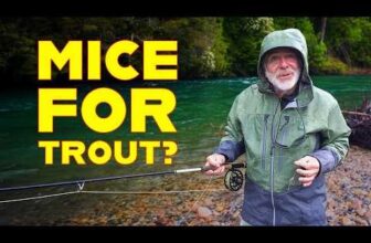 Tom on Daytime Mice Fishing