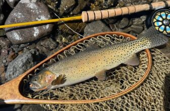The Fiberglass Manifesto: C. BARCLAY FLY ROD CO.