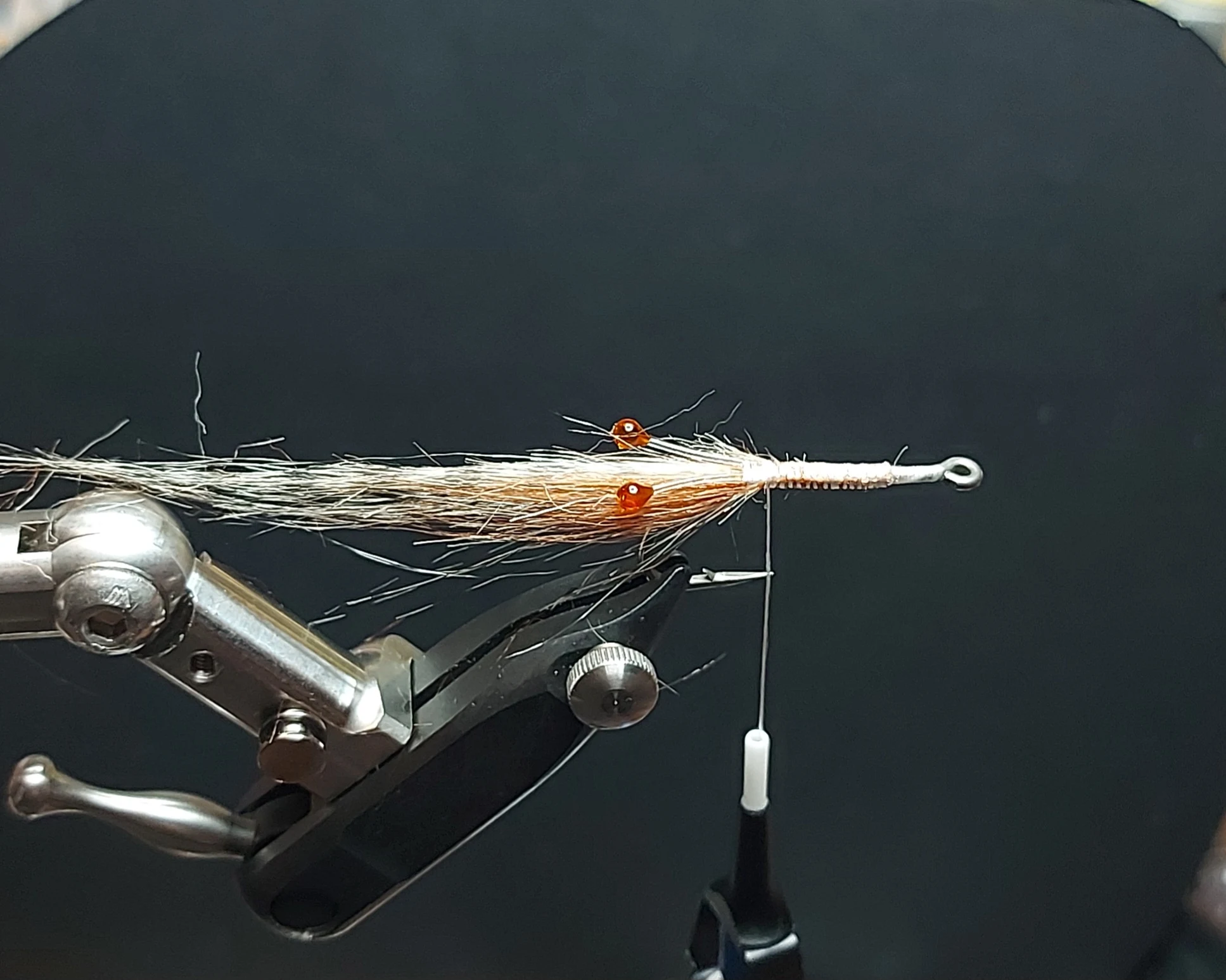 Transparent brown shrimp eyes tied into position