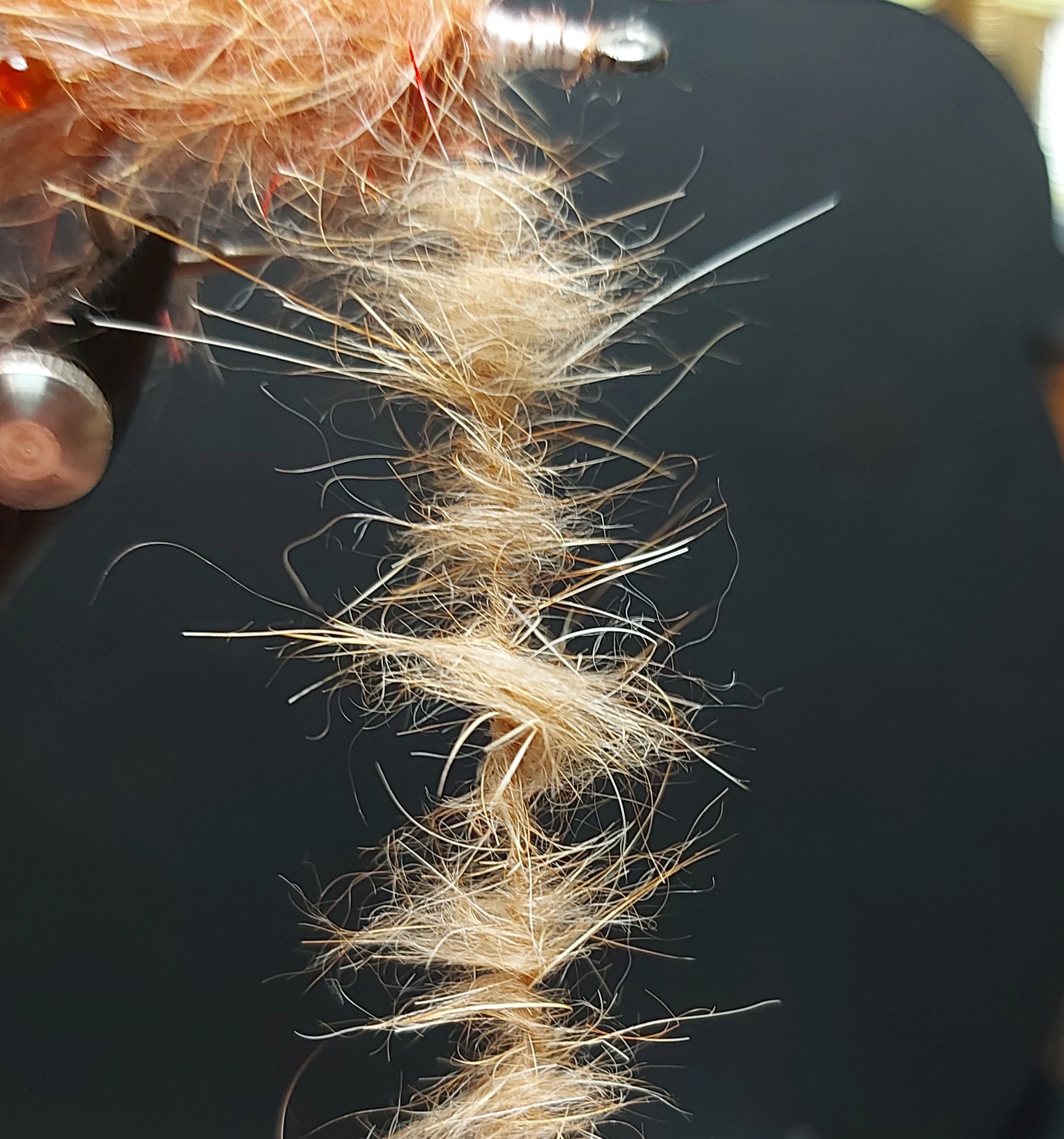 Ginger Stickle Dub prepared for the front of the body