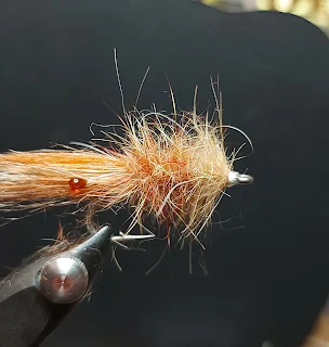 The ginger dubbing wound towards the hook eye