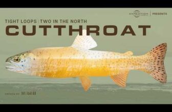 The Fiberglass Manifesto: TIGHT LOOPS: Two in the North